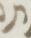 Letter - #16841
