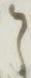 Letter - #16847