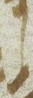 Letter - #16870