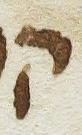 Letter - #16901