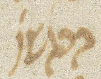 Abbreviation - #17013