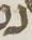 Letter - #17117