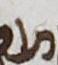 Letter - #17218