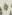 Letter - #17248