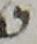 Letter - #17273