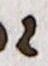 Letter - #17537
