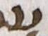 Letter - #17543