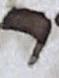 Letter - #17784