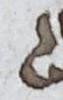 Letter - #17797