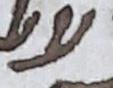 Letter - #17798