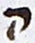 Letter - #17823