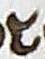 Letter - #17835