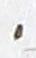 Punctuation - #17846