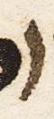 Letter - #17875