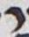 Letter - #17906