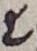 Letter - #17926