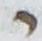 Letter - #17961