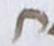 Letter - #17968