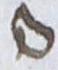 Ligature - #17969