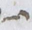 Letter - #17985