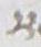 Letter - #18043