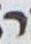 Letter - #18087