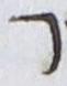 Letter - #18088