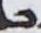 Letter - #18100