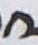 Letter - #18102