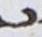 Letter - #18107