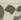 Letter - #18337