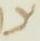 Letter - #18371
