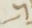 Letter - #18381