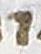 Letter - #18464