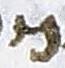 Letter - #18467