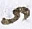 Letter - #18470