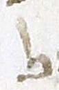 Ligature - #18482