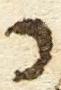 Letter - #18484