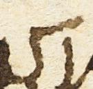 Letter - #18486