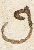 Letter - #18491