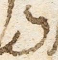 Letter - #18494