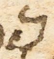 Ligature - #18502