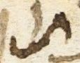 Letter - #18505