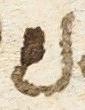 Ligature - #18514