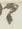 Letter - #18546