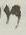 Letter - #18635