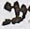 Letter - #18684