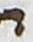 Letter - #18692