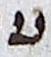 Letter - #18752