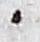 Punctuation - #18765